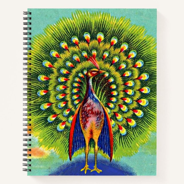 fun peacock print notebook (Front)