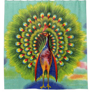 fun peacock print shower curtain