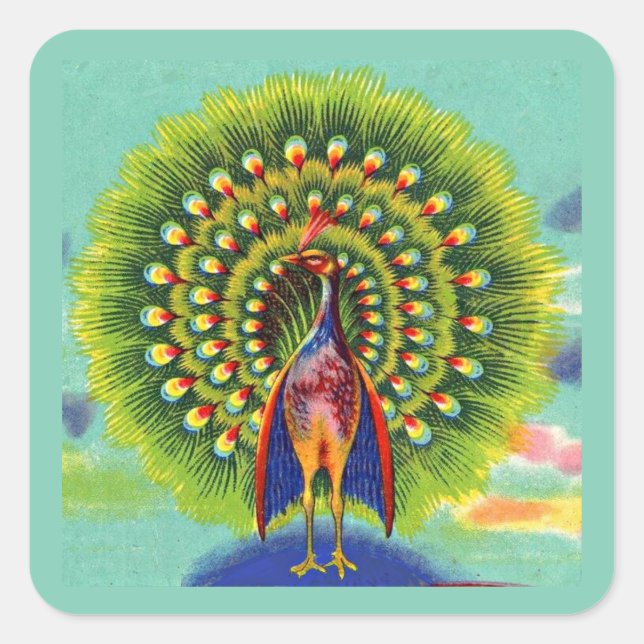 fun peacock print square sticker (Front)