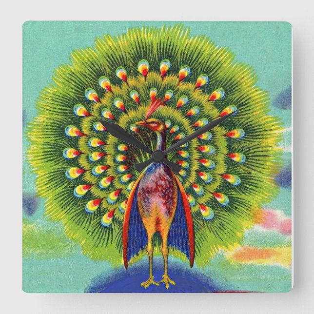 fun peacock print square wall clock (Front)