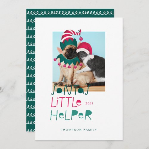 Fun Pet Christmas Santas Little Helper Elf  Santa Holiday Card