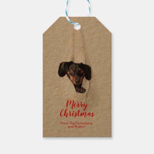 Fun Pet Family Puppy Dog Christmas Photo Gift Tags