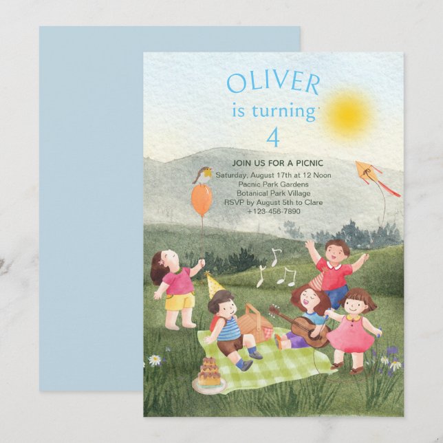 Fun Picnic Birthday Boy Garden Party Invitation (Front/Back)