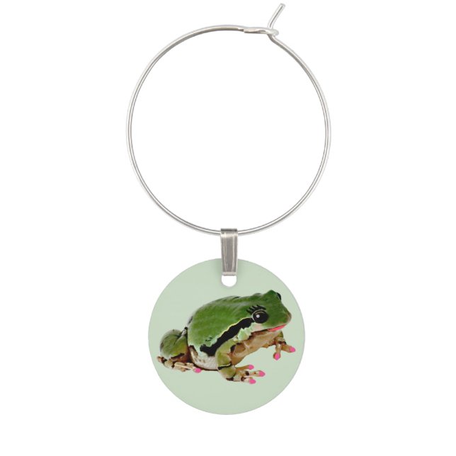Fun Pink Nails Lips Frog Princess Photograph Wine Charm (Front)