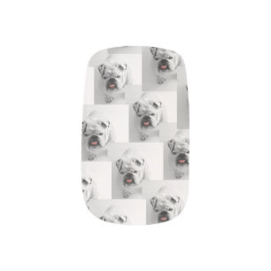 fun Pink Personalized Birthday pet photo Minx Nail Art