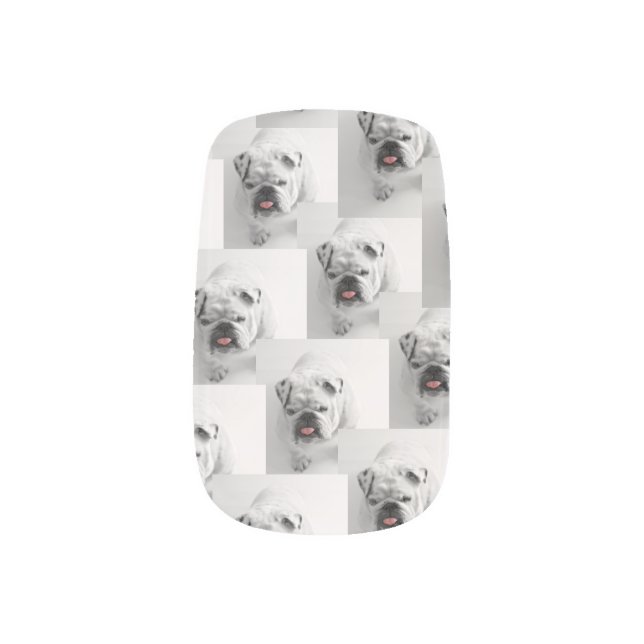 fun Pink Personalized Birthday pet photo Minx Nail Art (Right Thumb)