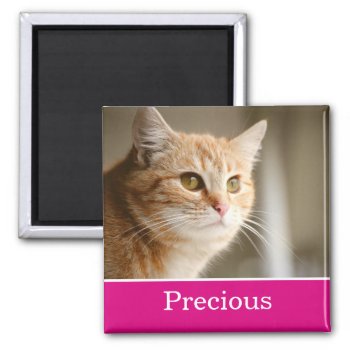 Fun Pink Personalized Pet Photo Magnet by AllyJCat at Zazzle