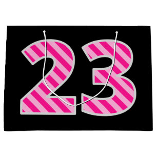 Fun Pink Striped "23"; Happy 23rd Birthday; Name Large Gift Bag