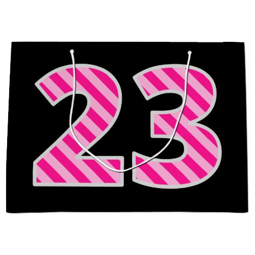 Fun Pink Striped 23 Happy 23rd Birthday Name Large Gift Bag