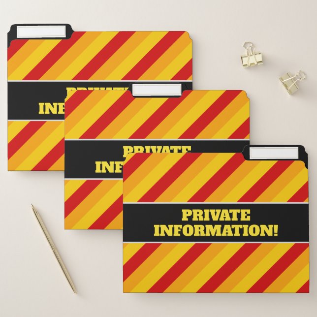 Fun "PRIVATE INFORMATION!" File Folder Set (Set)