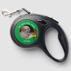 Fun Puppy Dog Pet Leash Upload w Fire Hydrant