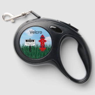 Fun Puppy Dog Pet Leash w Fire Hydrant