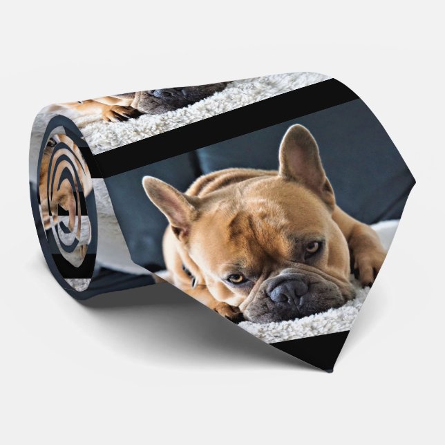 Fun Querky Cute French Bulldog Tie (Rolled)