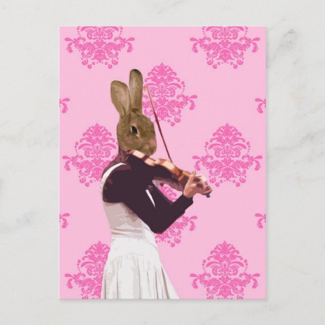 Fun rabbit playing violin postcard (Front)