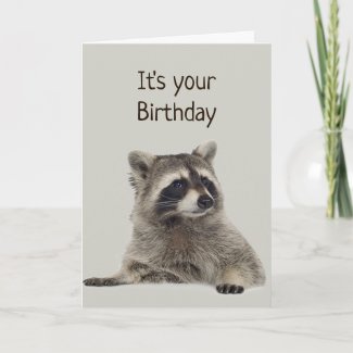 Fun Raccoon Doesn't Have Money for Gift Card