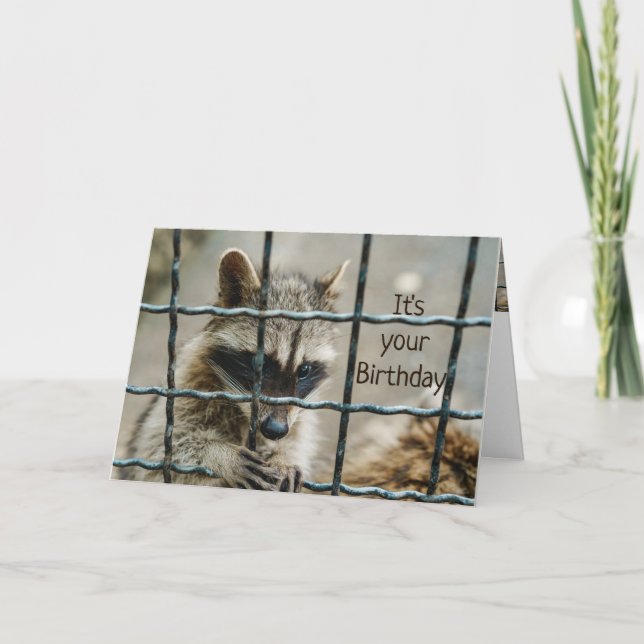 Fun Raccoon You Captured My Heart Love You Card (Front)