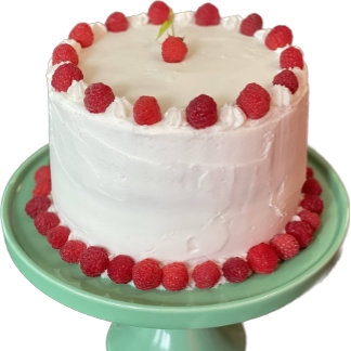 Fun Raspberry Cake Small Greeting Card
