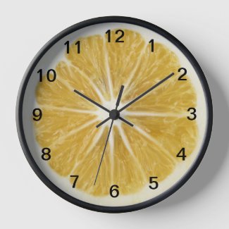 Fun Realistic Lemon Slice Citrus Fruit