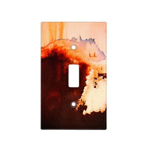 FUN Rust Art Cool Unique  Light Switch Cover