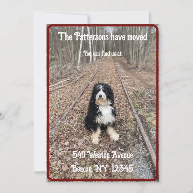 Fun, rustic with dog moving announcement card (Front)