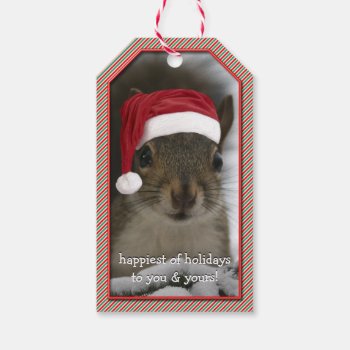 Fun Santa Squirrel Wearing Santa Hat Gift Tags by teeloft at Zazzle