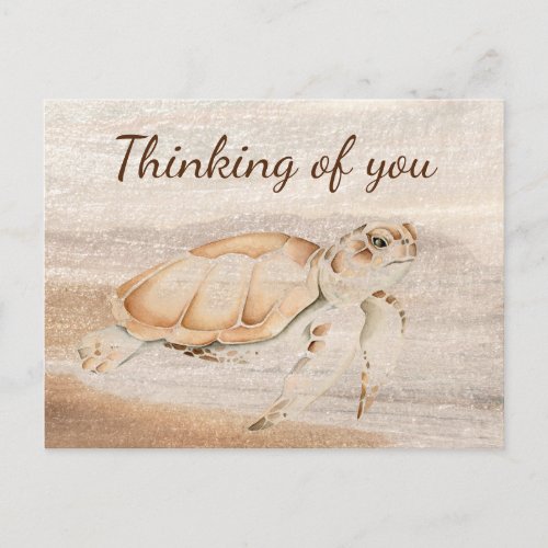  Fun Sea Turtle Cute Animal Art Thinking of you Postcard