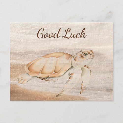  Fun Sea Turtle Cute Animal Nature Art Good Luck Postcard