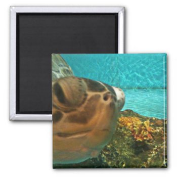 Fun Sea Turtle Selfie Magnet by PattiJAdkins at Zazzle