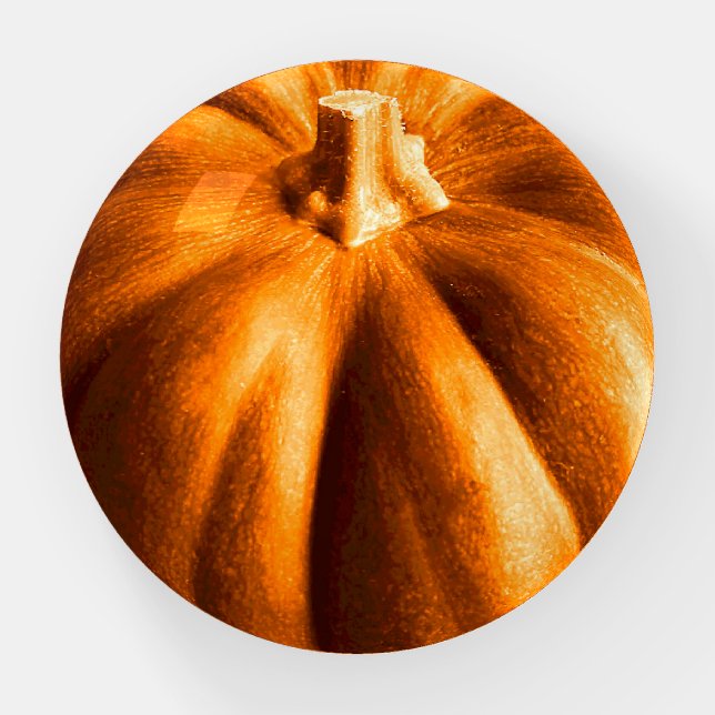 Fun Seasonal Autumn Orange Pumpkin Paperweight (Front)