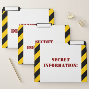 Fun "SECRET INFORMATION!" File Folder Set