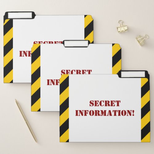 Fun SECRET INFORMATION File Folder Set