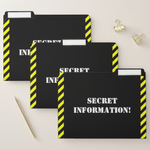 Fun "SECRET INFORMATION!" File Folder Set