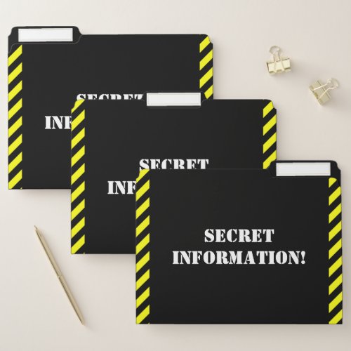 Fun SECRET INFORMATION File Folder Set