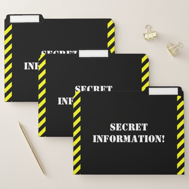 Fun "SECRET INFORMATION!" File Folder Set (Set)