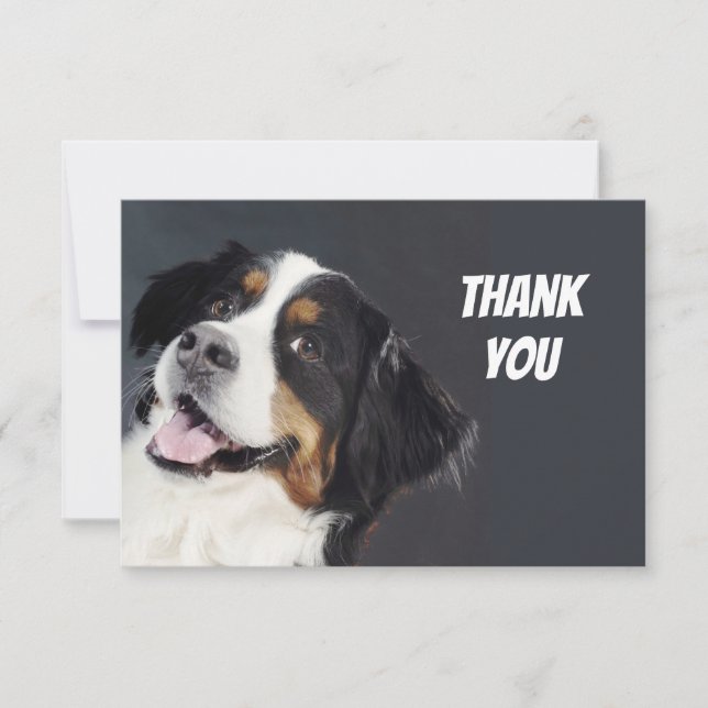 Fun Silly Casual Dog Thank You (Front)