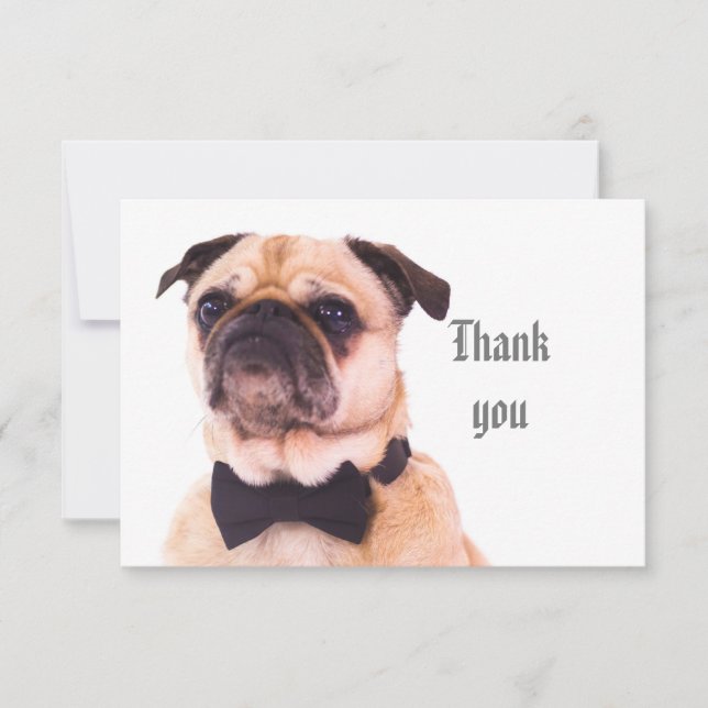 Fun Silly Formal Pug Dog Thank You Card (Front)