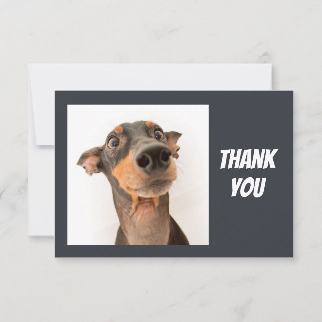 Fun Silly Shocked looking Dog Thank You (Front)