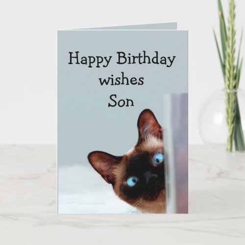 Fun Son Birthday Wishes Siamese Cat Card