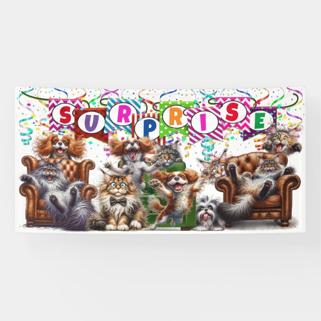 FUN SURPRISE  BANNER (Horizontal)