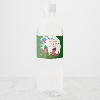 Fun Three Rex Jurassic Kid 3rd Birthday Water Bottle Label