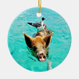 Fun together  staniel cay swimming pig seagull fis ceramic ornament