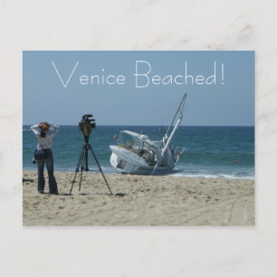 Fun Venice Beach Postcard! Postcard