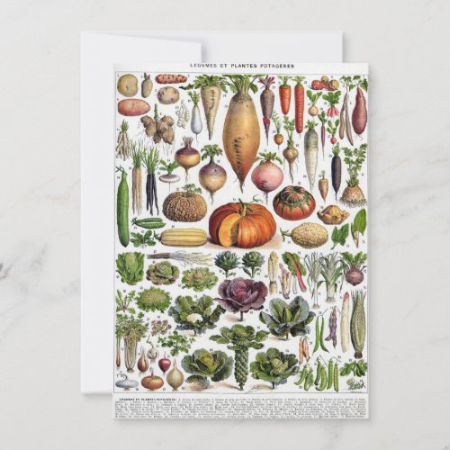 Fun Vintage Thanksgiving Vegetable Friendsgiving Invitation