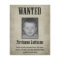 Fun WANTED poster design