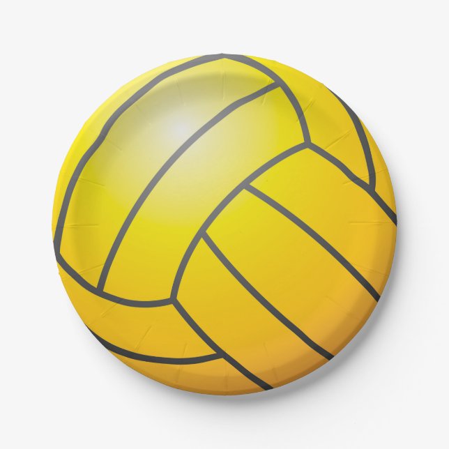 Fun water polo ball design paper plate (Front)