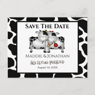 Fun Wedding Cows Save the Date Postcard