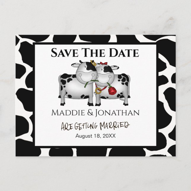 Fun Wedding Cows Save the Date Postcard (Front)