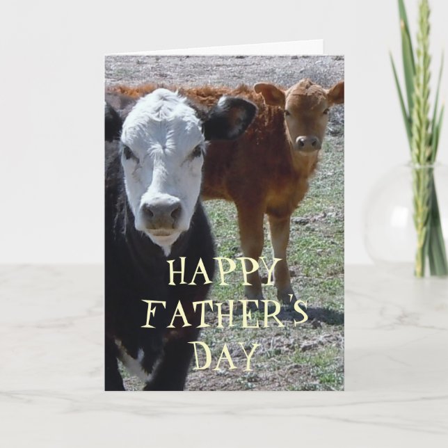 Fun Western Happy Father's Day Calf Calves Card (Front)