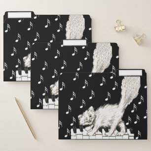 Fun White Cat Winking While Walking on Piano File Folder