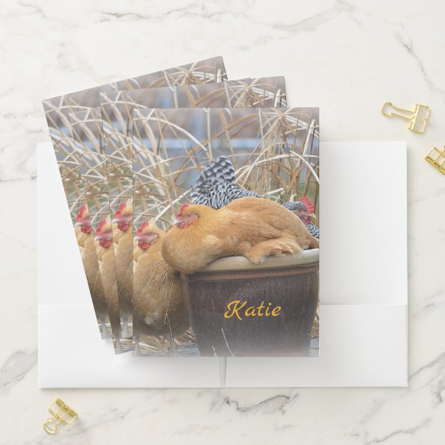 Fun With Chickens Pocket Folder (In Situ)